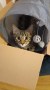Monty (2)8
